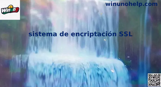 Implementación del Sistema de Encriptación SSL en Winuno México